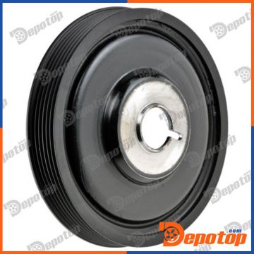 Poulie damper vilebrequin pour RENAULT | RKP-RE-009, 80000600